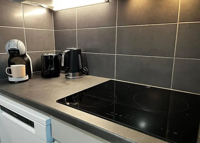 Apartment T2 Avec Jardinet Parking La Genette *